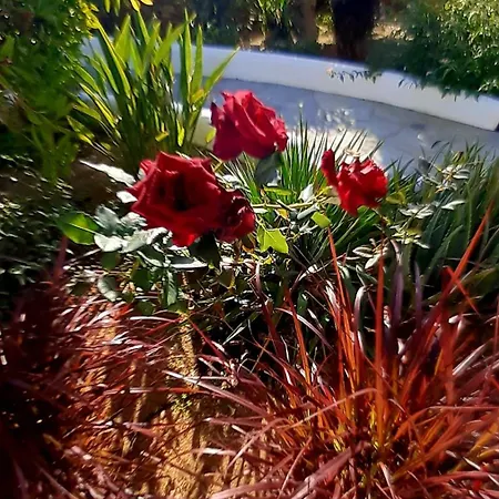 Haus Asterakia Aliko Beach