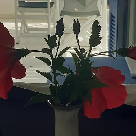 Haus Asterakia * Aliko Beach