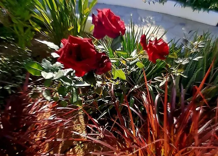 Haus Asterakia Алико-Бич