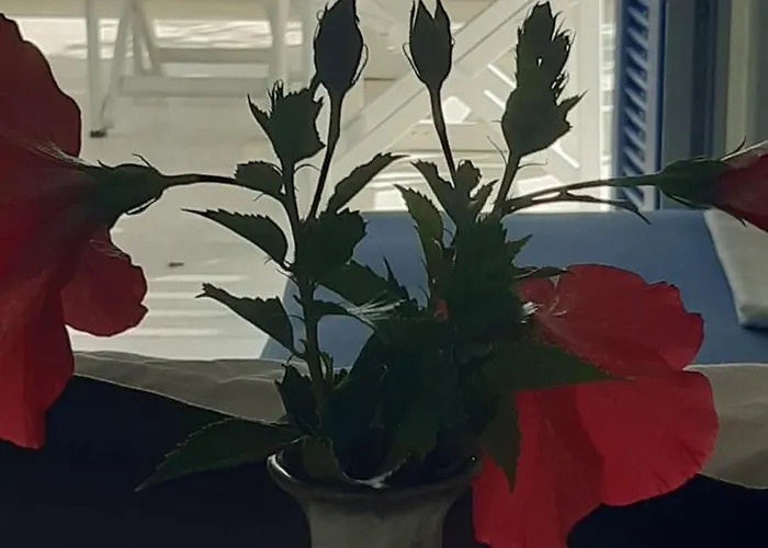 Haus Asterakia * Алико-Бич